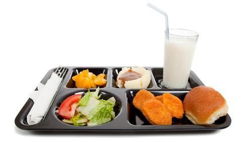 Lunch Tray